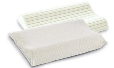 guanciale balance dorelan