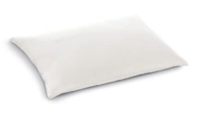 guanciale fairy dorelan