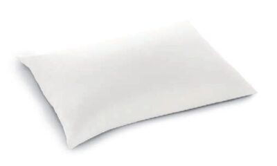 guanciale divo dorelan