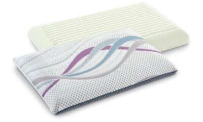 guanciale regeneration dorelan